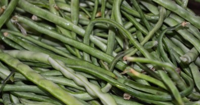 Taze Börülce Üretiminde Muğla İlk Sırada