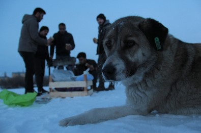 Donmuş Nehir Üzerinde Mangal Yaptılar