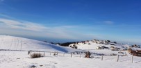 SONER ŞENEL - Hıdırnebi Yaylası'nda Kayak Sporu İçin Elverişli Yerler Araştırıldı