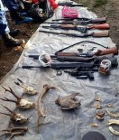 YABAN DOMUZU - Koruma Altındaki Hayvanları Avlayana 31 Bin 943 TL Para Cezası