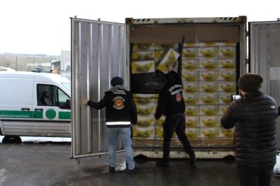 Muz Yüklü Konteynerden 79 Kilo Kokain Çıktı