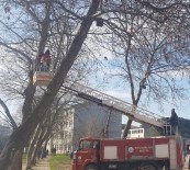 HAYVAN SEVGİSİ - Öğrenciler Kuşları 'Ev'lendirdi