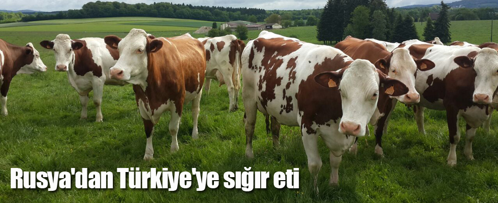Rusya'dan Türkiye'ye sığır eti