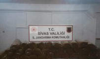 Sivas'ta 175 Kilo Tütün Ele Geçirildi