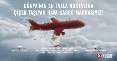 THY Kargo 4 Bin Ton Çiçek Taşıdı