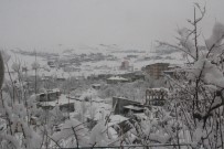 ELVERİŞSİZ HAVA - Hakkari'de 150 Yerleşim Yeri Kapandı