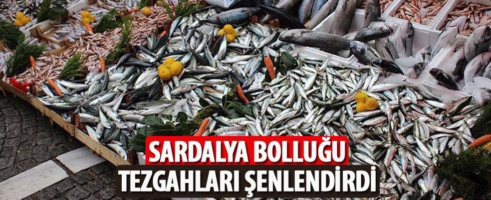 Sardalya bolluğu tezgahları şenlendirdi