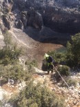 GÜMÜŞDERE - Kanyonda Mahsur Kalan Keçiyi İtfaiye Kurtardı