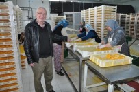 ÜÇPıNAR - Sebze Ve Meyveler Jeotermal Enerji İle Kurutuluyor