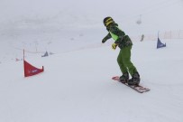 TÜRKIYE KAYAK FEDERASYONU - Yıldız Dağı'nda Snowboard Heyecanı Başladı