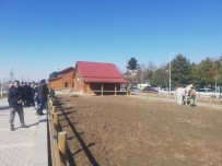 GÜNEŞLİ HAVA - Güneşli Havayı Fırsat Bilen Malatyalılar Tabiat Parkına Koştu