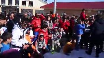 TÜRKIYE KAYAK FEDERASYONU - Yıldız Dağı'nda Snowboard Yarışları