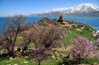 AKDAMAR ADASı - Akdamar Adası'nda 'Badem Çiçeği Festivali' Talebi