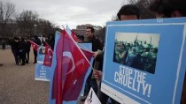 SINCAN UYGUR ÖZERK BÖLGESI - Beyaz Saray Önünde Çin'in Sincan Politikası Protestosu