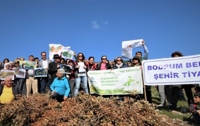 Bodrum'da Ormanıma Dokunma Eylemi