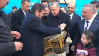 EKREM YAVAŞ - Cumhurbaşkanı Erdoğan'a Külliye İşlemeli Yağcıbedir Halısı