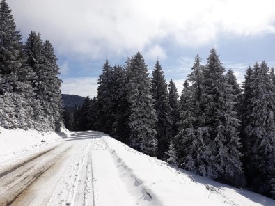 Giresun'un Yaylaları 4 Mevsim Yöre İnsanını Kendisine Çekiyor