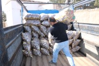 BAĞLAMA - Patates Üreticisi Tanzim Satışlarından Memnun