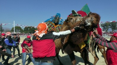 Pehlivan Develer Nefes Kesti