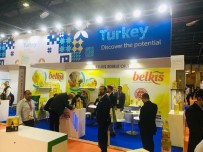 DUBAI - Dubai'de Dikkatler Belkıs Yağ'a Çevrildi