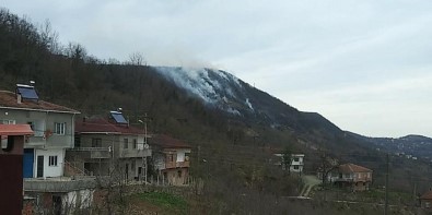 Karadeniz'de Orman Yangını Uyarısı