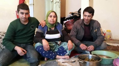 Kızıltepe'de 43 Yaşındaki Anne, Hurdacılık Yaparak Çocuklarına Bakıyor