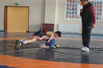 NURULLAH KAYA - Şuhut'ta Güreş Turnuvası