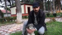 YAVRU KÖPEK - Annesiz Kalan Köpekler İçin 'Süt Seferi' Yapıyor