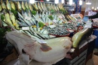 Malatya Balık Pazarında  Dev Kurşun Balığı