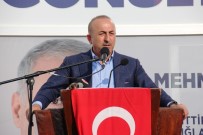 MEHMET NIL HıDıR - Bakan Çavuşoğlu Açıklaması 'Zillet İttifakı, Vatan Hainleri, Terör Örgütleri Birlik İçerisinde'