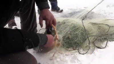 Buz Tutan Baraj Balıkçılara Ekmek Kapısı Oldu