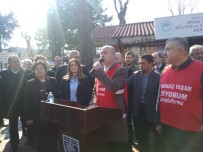 TERMİK SANTRAL - Danıştay Termik Santral ÇED Kararını Bozdu