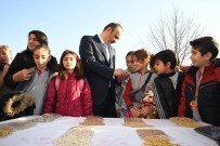 TRAKYA - Edirne'de 'Eko Dostu Okullar, Doğa Dostu Nesiller' Projesi