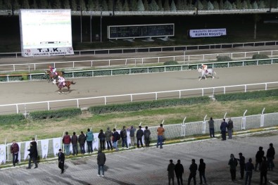 Haliliye Belediyesi Koşusunu 'Delicihan' Kazandı