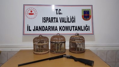 Isparta'da Kaçak Avcılara 20 Bin 150 Lira Ceza