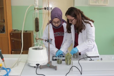 (Özel) Defneyaprağı, Adaçayı Ve Biberiyeden Plastik Ürettiler