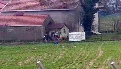 (Özel) 'Tavuklarımızı Yiyor' Deyip Köpeklere Kurşun Yağdırdı