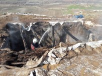 SIIRT BELEDIYESI - Siirt'te Çıkan Yangında Ev Ve Ahır Kül Oldu