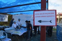 DALYAN KANALI - Dalyan Kefal Balığı Festivali İle Coşacak