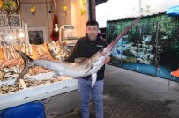 MARMARA DENIZI - Kılıç Balığı Koyun Fiyatına Satıldı