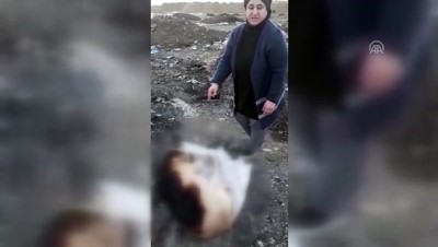 Konya'da Çuval İçerisinde Yakılmış Köpek Ölüsü Bulundu