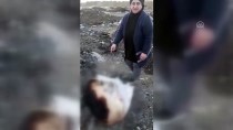 TATLıCAK - Konya'da Çuval İçerisinde Yakılmış Köpek Ölüsü Bulundu