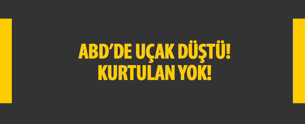 ABD'de küçük uçak düştü: 2 ölü