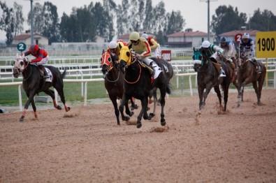 Adana Büyükşehir Belediye Başkanlığı Koşusunu 'Bit Coin' Kazandı