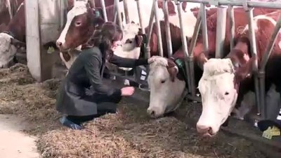 Devlet Desteğiyle Tesis Kurdu Günlük 5 Ton Süt Üretiyor