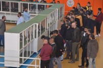 ALI SEZAL - Güvercinler Görücüye Çıktı