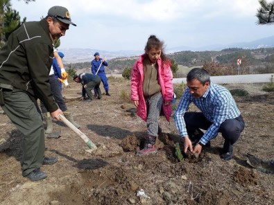 Yenipazar'da 'Fidanlar, Fidanlarla Büyüyor' Etkinliği