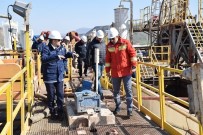 PETROL ARAMA - Kaymakam Bilici, Petrol Kuyusunda İncelemelerde Bulundu