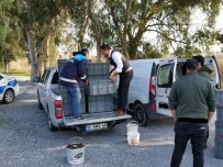 Söke'de Yasak Avcılığa Geçit Yok