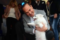 HÜSEYIN SÖZLÜ - Sözlü Açıklaması 'Her Okul, Her Fabrika 2 Köpeği Sahiplenecek'